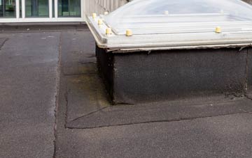 disadvantages of Norwood New Town flat roofs