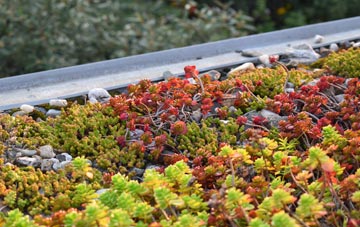the cost of Norwood New Town green roof installation