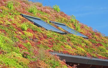 Norwood New Town living roof systems