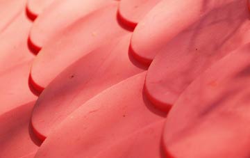 Norwood New Town plastic roof costs