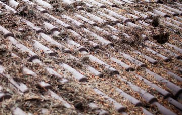 Norwood New Town roof cleaning companies