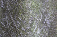 Norwood New Town fibreglass roof work